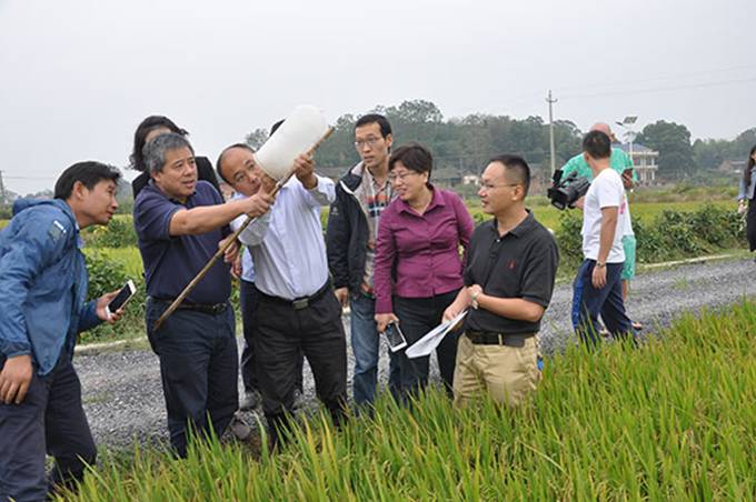 ȫ����ɫ�����ֳ���3