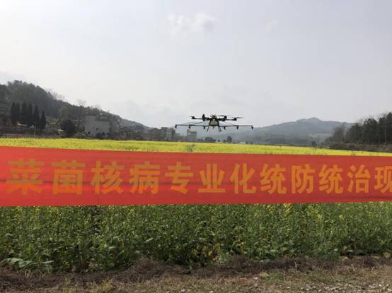 BF3AFA1EE9EF6F81752E3F76EFB5A6D0