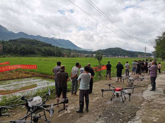 5210043755c8f3e7bd59d7854a5f91d