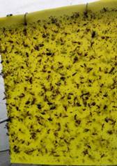 8f1beaaf8acd250d8ae4f8d1ac9e7e9