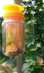 40bcc86336ac64bf7dea1be586868fe