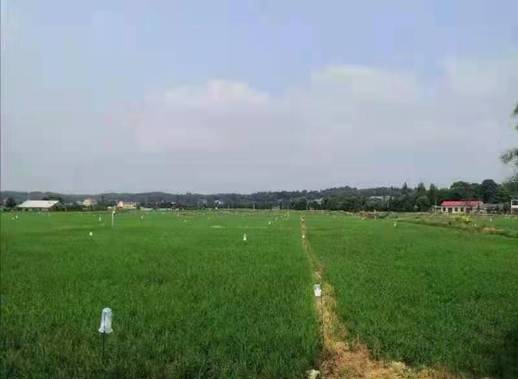 微信图片_20210803145455