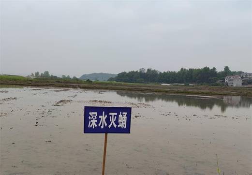 ΢��ͼƬ_202204141033502