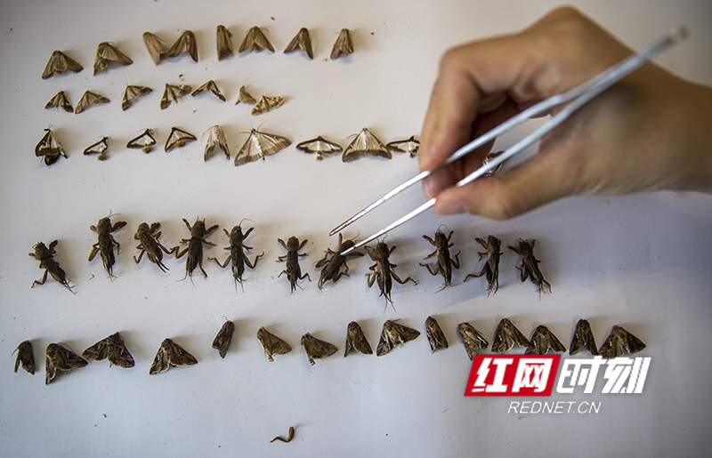 D2CE252B-D745-4632-B1CB-8A0672EDC8A3.jpeg D2CE252B-D745-4632-B1CB-8A0672EDC8A3.jpeg