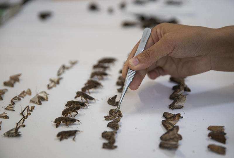 9BAA58A5-0BFA-483C-9F7E-BC119667F9C2.jpeg 9BAA58A5-0BFA-483C-9F7E-BC119667F9C2.jpeg