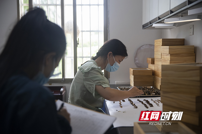 1DFD74EA-09A9-48E0-8EAB-3AF495EA7A9E.jpeg 1DFD74EA-09A9-48E0-8EAB-3AF495EA7A9E.jpeg