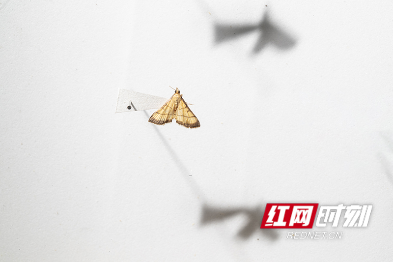 CC7BDDE1-D0BC-410B-966A-9729035803E5.jpeg CC7BDDE1-D0BC-410B-966A-9729035803E5.jpeg