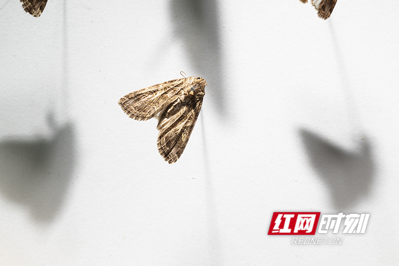 D3C8EFB7-80E7-4A43-8983-728065C6A6A8.jpeg D3C8EFB7-80E7-4A43-8983-728065C6A6A8.jpeg