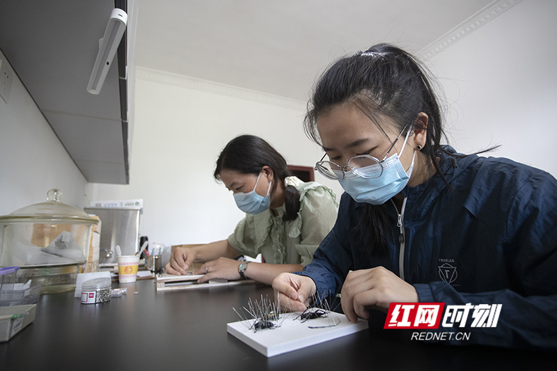 8C2B7DD3-6D4F-4FFA-83DC-6BB9D838D041.jpeg 8C2B7DD3-6D4F-4FFA-83DC-6BB9D838D041.jpeg