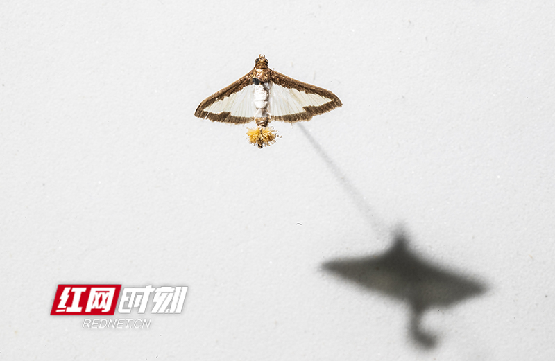 69F55690-CB8B-49A3-91B7-4D21AB0EB4A5.jpeg 69F55690-CB8B-49A3-91B7-4D21AB0EB4A5.jpeg