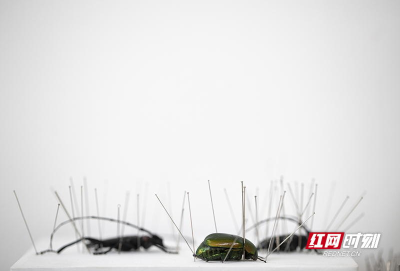 82D824D7-92F4-4835-B984-6F8A5ACEE234.jpeg 82D824D7-92F4-4835-B984-6F8A5ACEE234.jpeg