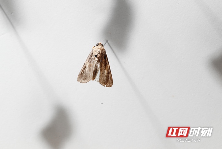 8F82039D-98B1-49A1-B552-22ED20DBFA0C.jpeg 8F82039D-98B1-49A1-B552-22ED20DBFA0C.jpeg