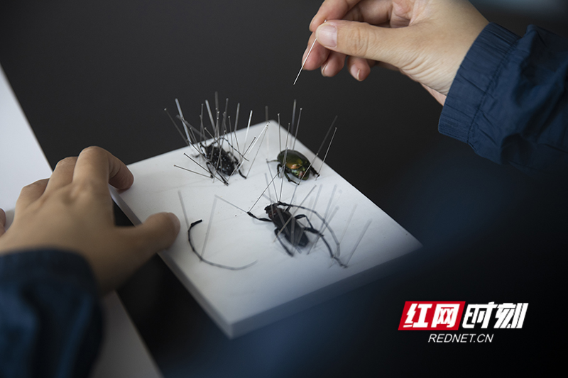 71F4DD1E-41D1-452D-B408-396B5A365A94.jpeg 71F4DD1E-41D1-452D-B408-396B5A365A94.jpeg