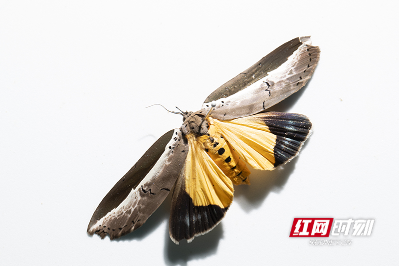 8930F6C6-E826-455C-AA73-499C7D06FAC8.jpeg 8930F6C6-E826-455C-AA73-499C7D06FAC8.jpeg