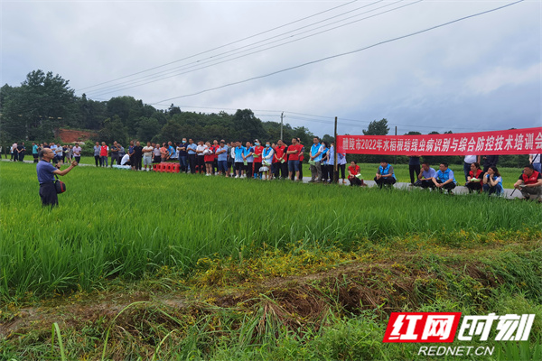 田间培训现场.jpg 田间培训现场.jpg