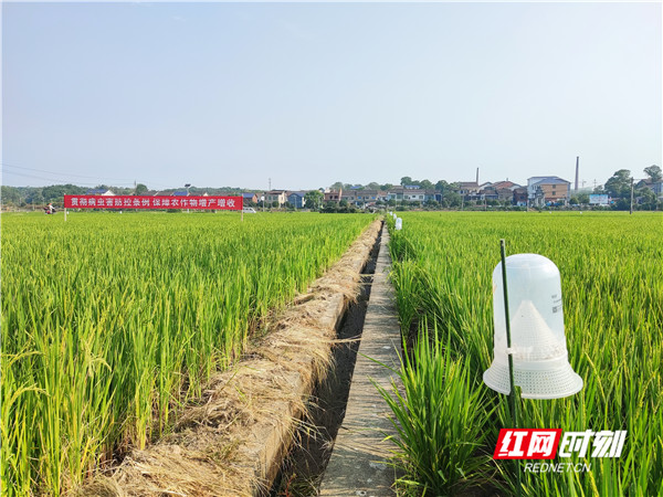 微信图片_20220927135607_副本.jpg 微信图片_20220927135607_副本.jpg