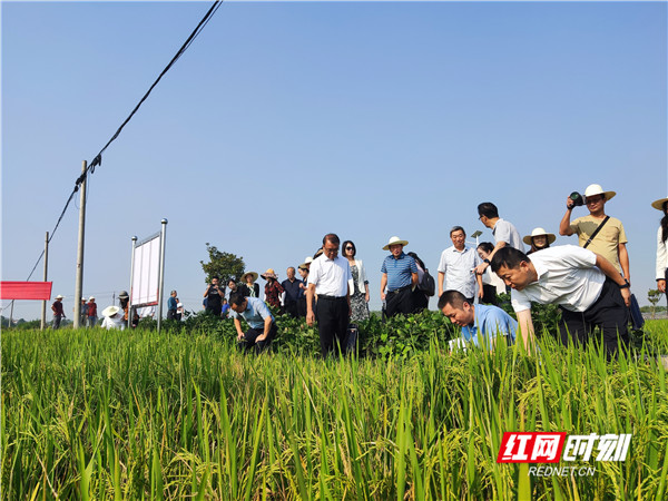 微信图片_20220927135557_副本.jpg 微信图片_20220927135557_副本.jpg