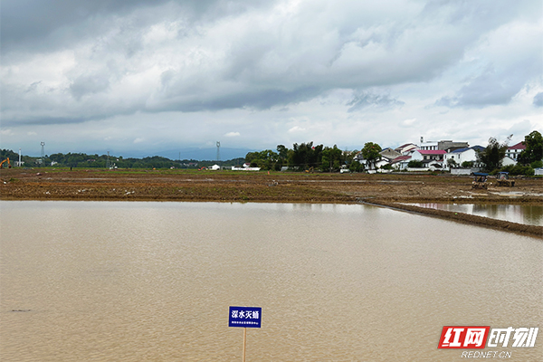 IMG_4590.jpg IMG_4590.jpg