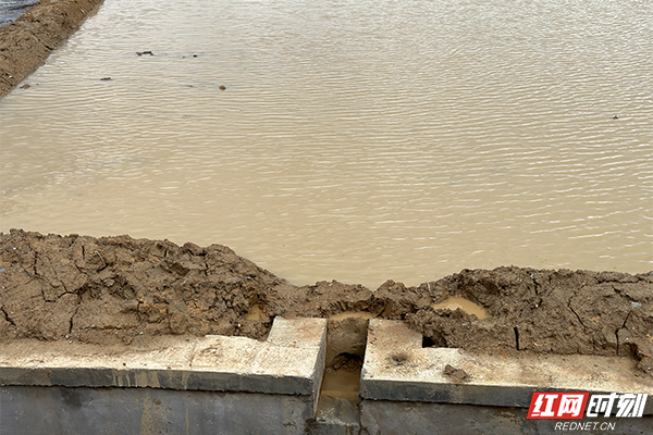 IMG_4585.jpg IMG_4585.jpg