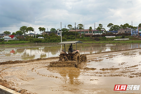 IMG_4588.jpg IMG_4588.jpg