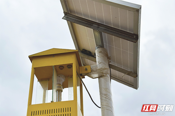 IMG_4586.jpg IMG_4586.jpg