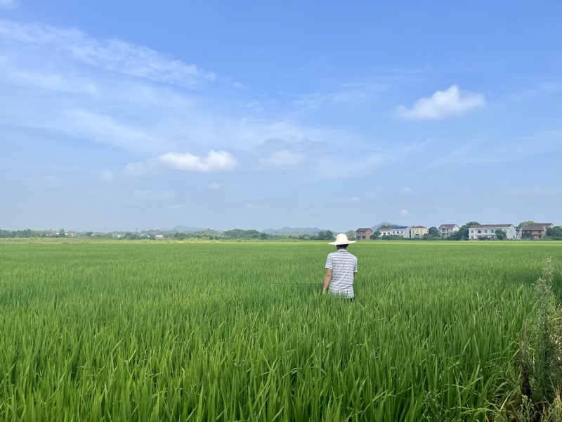 IMG_0224.jpg IMG_0224.jpg