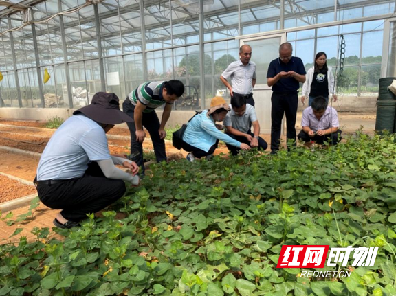 农技推广1.marked.png 农技推广1.marked.png