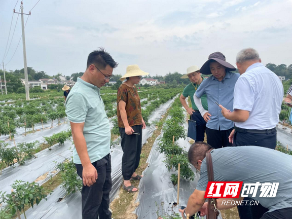 农技推广2.marked.png 农技推广2.marked.png