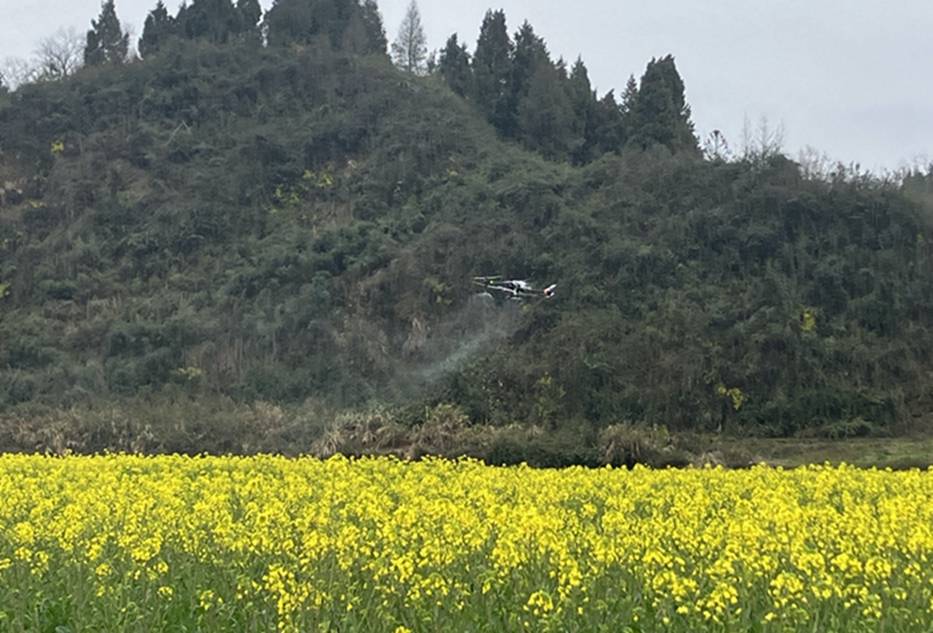 d9a95d4b15af2dcb8fca2590f93ec2b_����