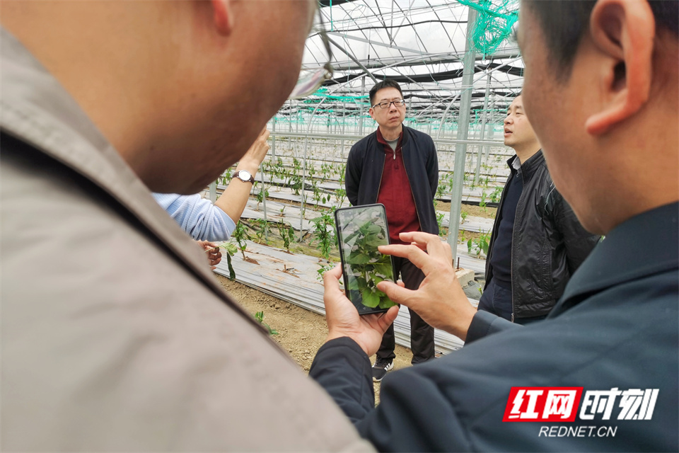 微信图片_20240322140654.jpg 微信图片_20240322140654.jpg