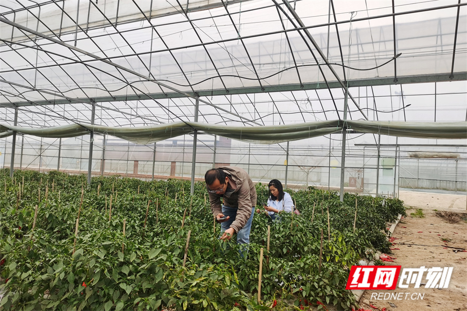 微信图片_20240322140636.jpg 微信图片_20240322140636.jpg