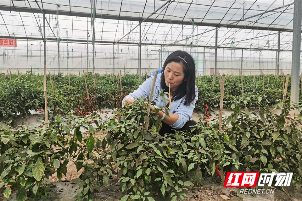 微信图片_20240322140621.jpg 微信图片_20240322140621.jpg