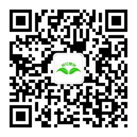 16΢�Ŷ�ά��8cm