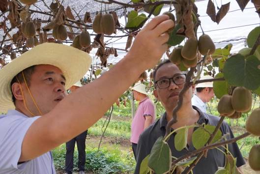 微信图片_20240814022325