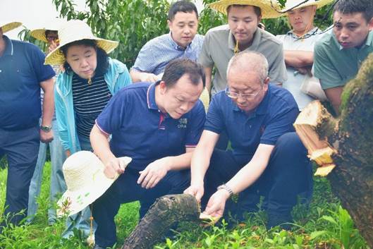 微信图片_20240814024656