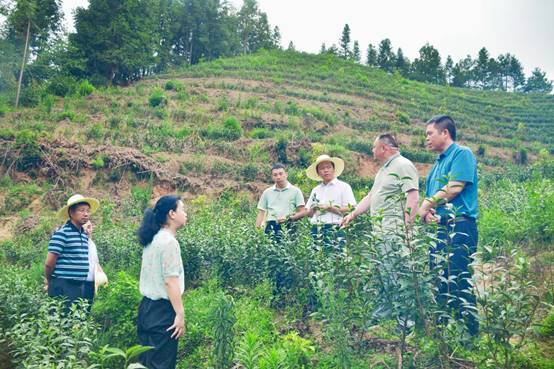 微信图片_20240815083439