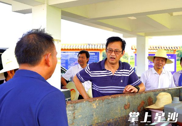 图为调研现场。邬振 摄 图为调研现场。邬振 摄