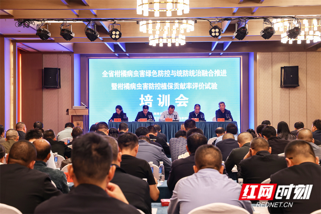 微信图片_20241109152015.jpg 微信图片_20241109152015.jpg