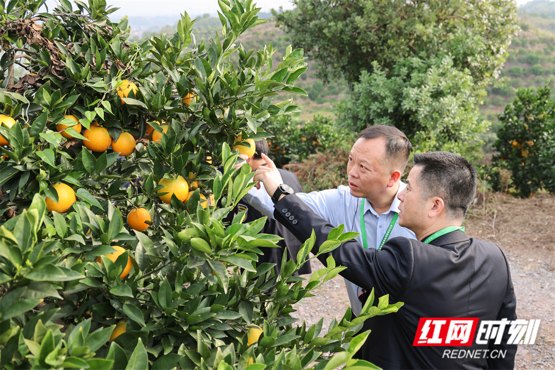 微信图片_20241109152019.jpg 微信图片_20241109152019.jpg